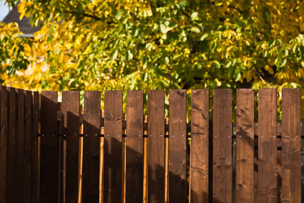 Close Up Of Wooden Fence Door. Wood Fence. Fall. Autumn.