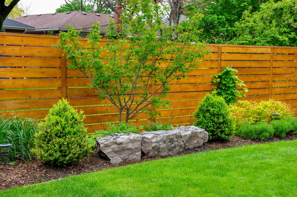 wood privacy fence with bushes