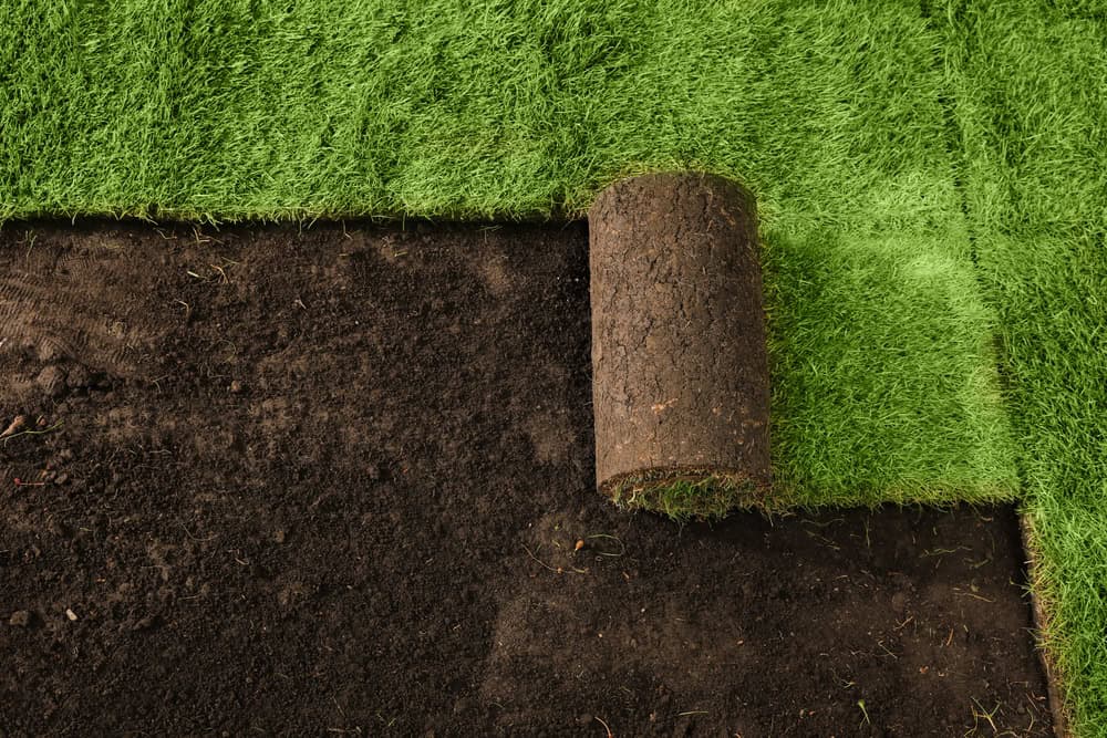 A roll of sod is being laid on bare soil, partially covering the ground with bright green grass—perfect for enhancing curb appeal after a masonry contractor in Long Island, NY completes your outdoor project.