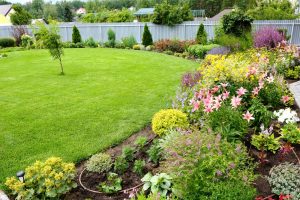 A well-maintained backyard garden with a large green lawn, colorful flower beds, various shrubs, and a small tree, all enclosed by a gray fence.