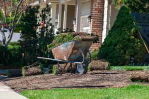 A rusty wheelbarrow filled with rolls of sod sits on a patch of bare soil in a residential yard, surrounded by green grass, bushes, and a house in the background.