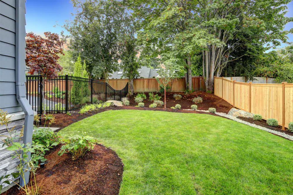 A neatly landscaped backyard with a green lawn, bordered by mulch and small shrubs, surrounded by a wooden fence and trees. A hammock hangs between two trees in the corner.